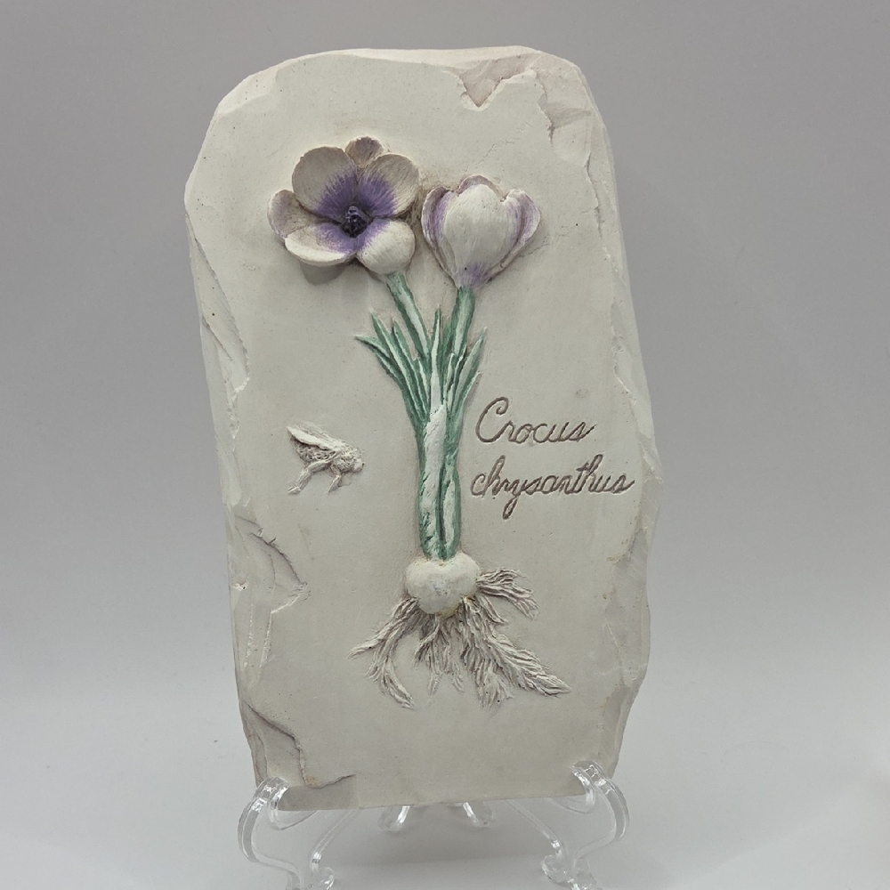 Hen Feathers Crocus Chrysanthus Wall Plaque